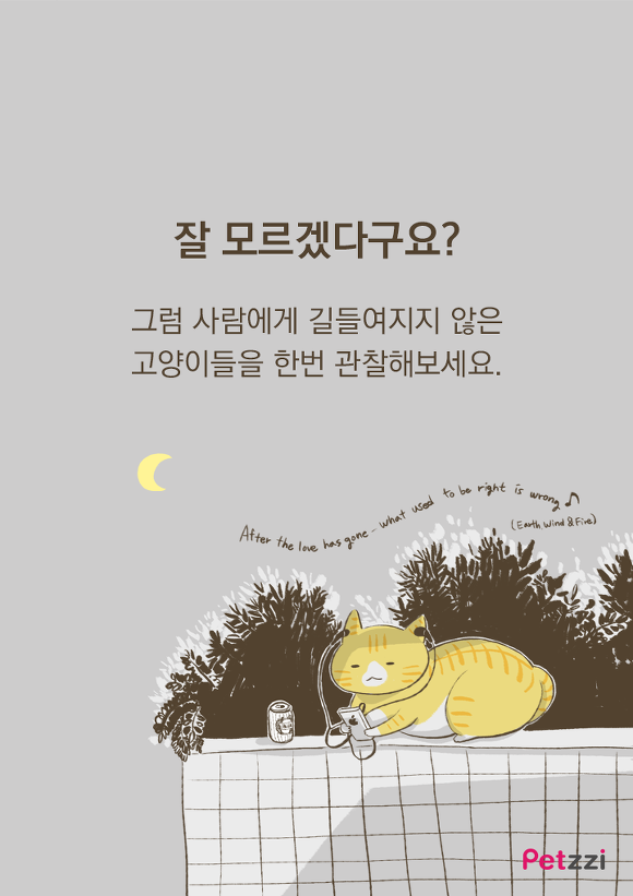 우리집 고양이는 소통왕(만화).jpg | 인스티즈