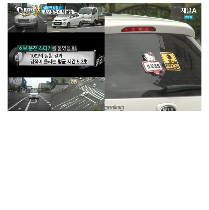 초보운전자 머스트 헤브 아이템.jpg | 인스티즈