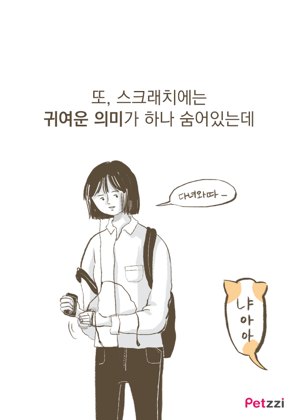 고양이가 긁는 이유(만화).jpg | 인스티즈