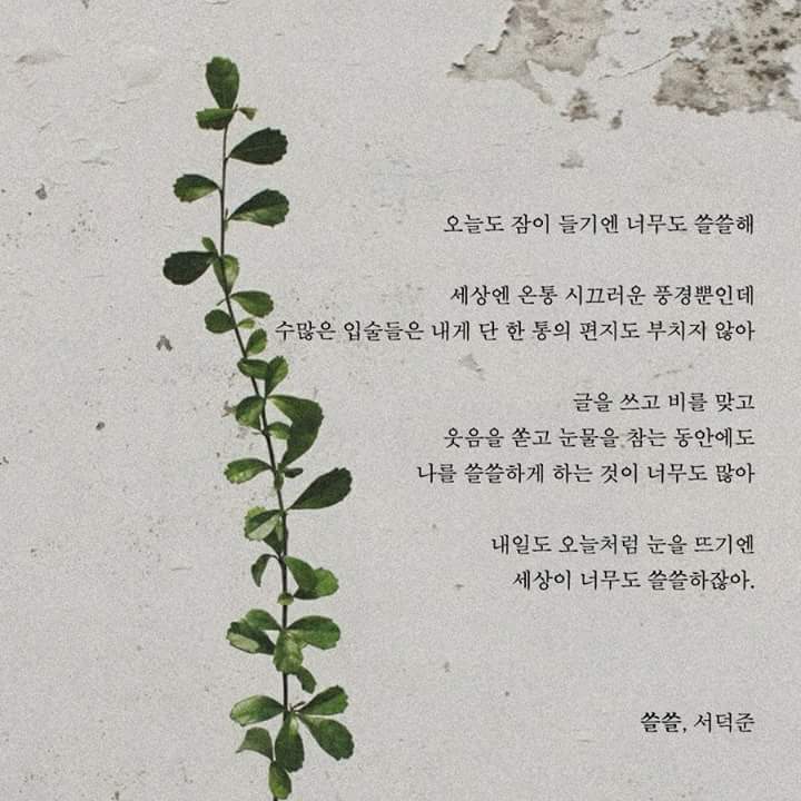 돼지오빠 이미지