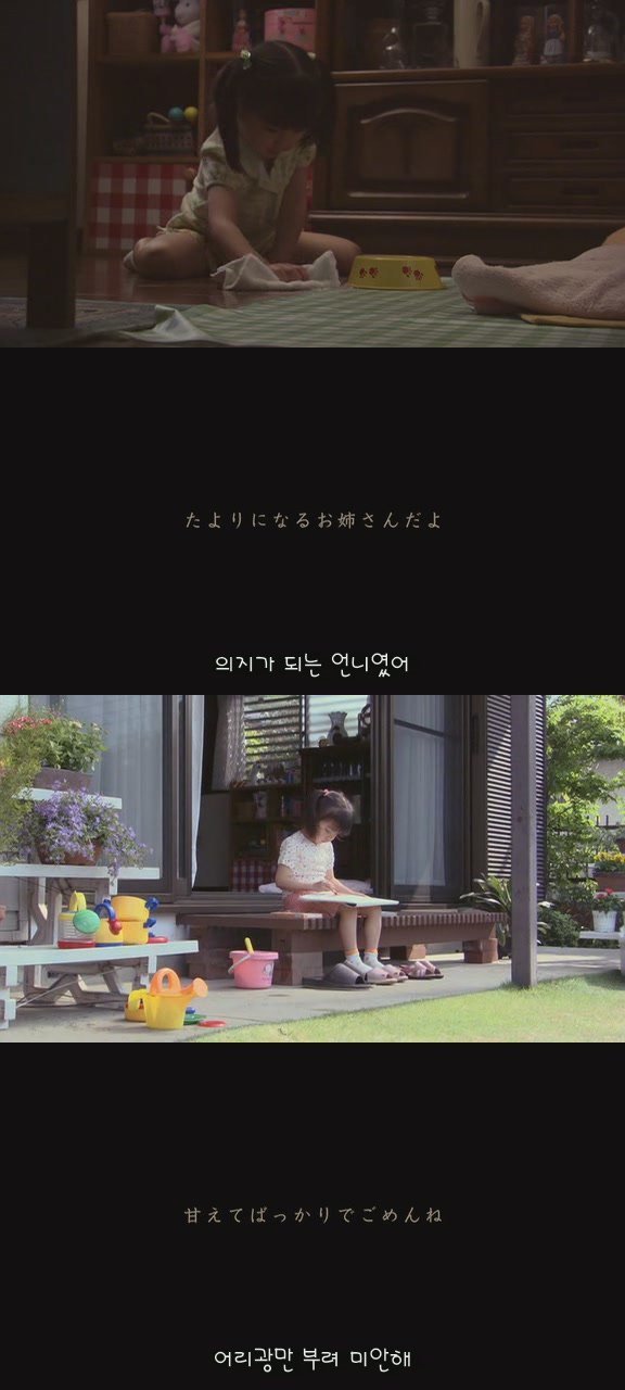 강아지의 삶 | 인스티즈