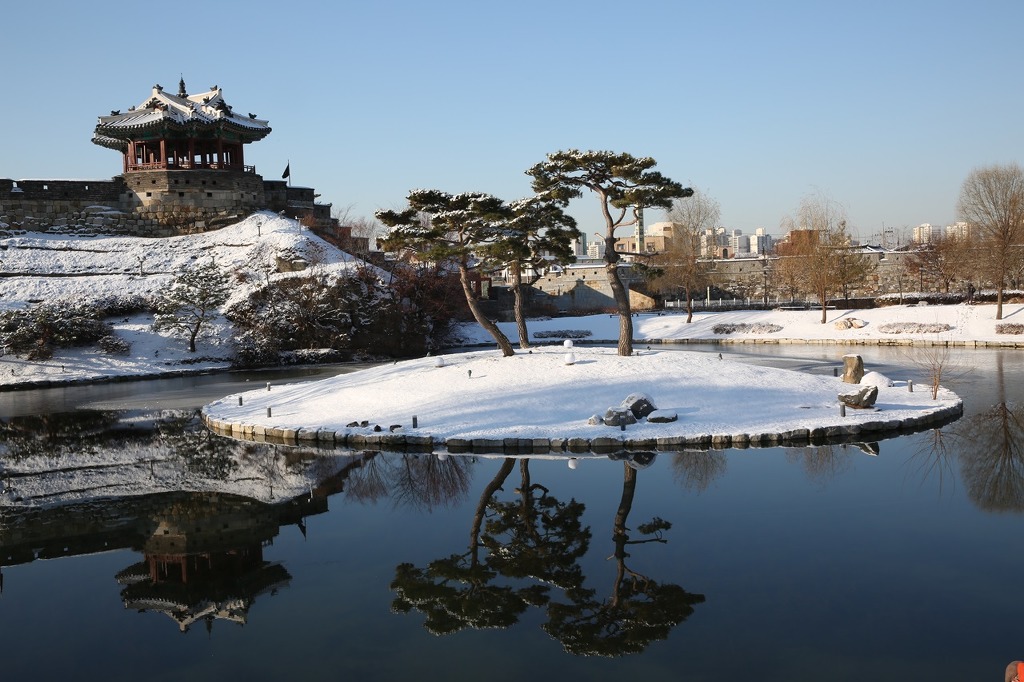 수*류 이미지