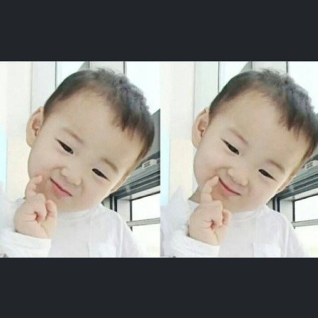 걸어다니는 애교주머니 민국이 모음 (데이터주의!) | 인스티즈