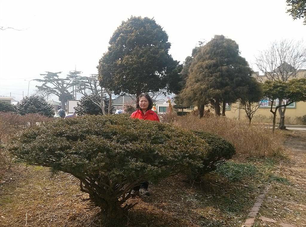 변산초등학교 이미지