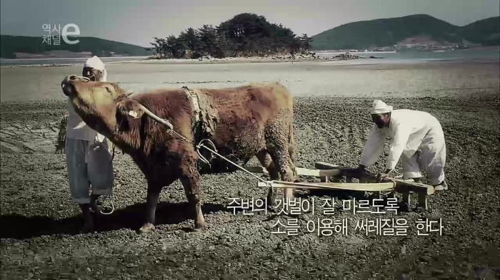 우리나라가 천일염의 나라가 된 이유 | 인스티즈