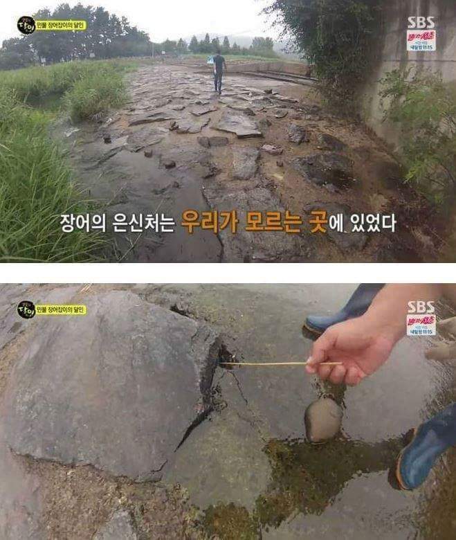 장어의 효과 | 인스티즈