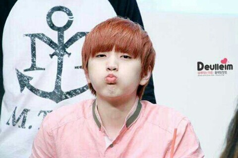 가수들의 예명 뜻 | 인스티즈