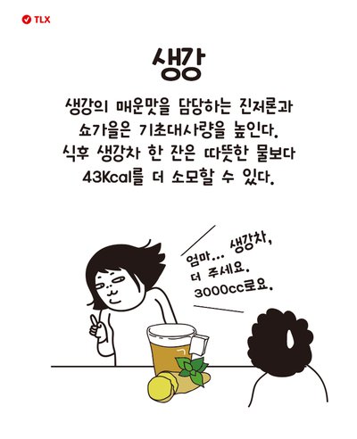 [다이어트일러스트] 지방을 활활 태우는 신의 음식 | 인스티즈