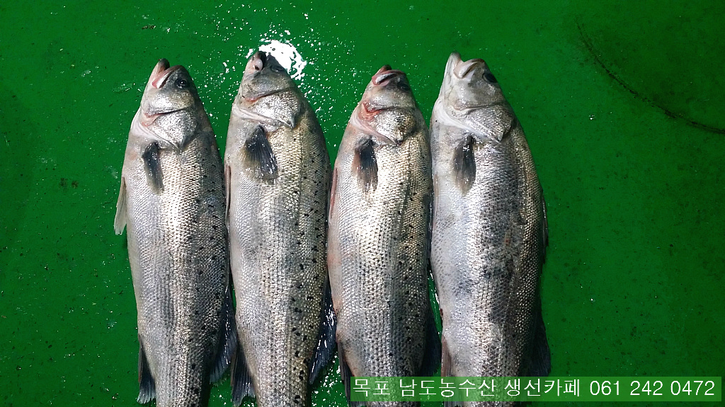 금당롯지 이미지