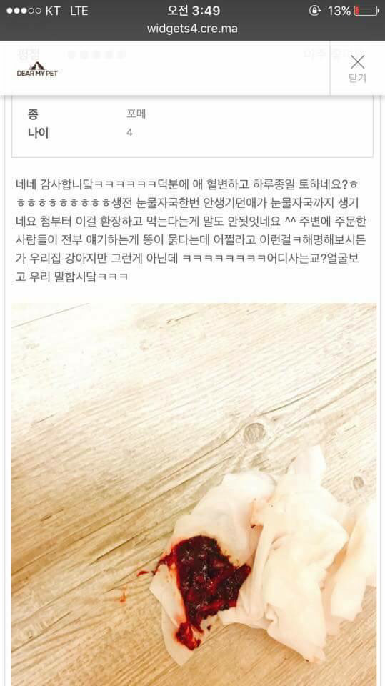 반려동물을 도와주세요ㅠㅠ! | 인스티즈