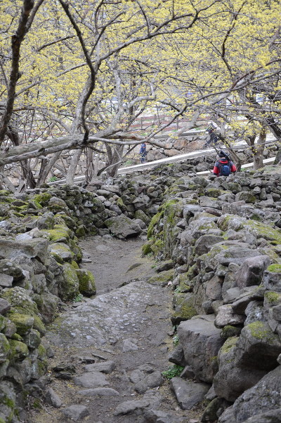 산동카 이미지