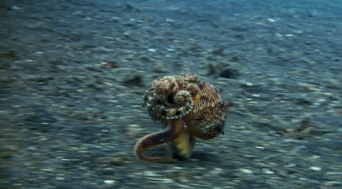 225C4B3B5619916819E6CE