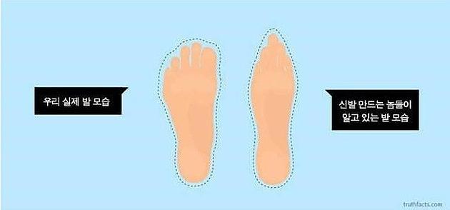 현대인들 공감.jpg | 인스티즈