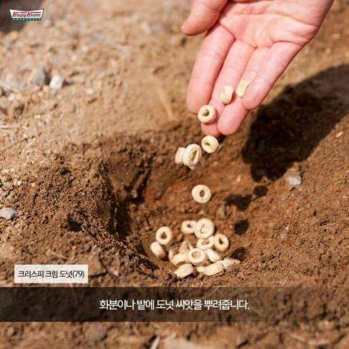 지방사람들은 모르는것.jpg | 인스티즈