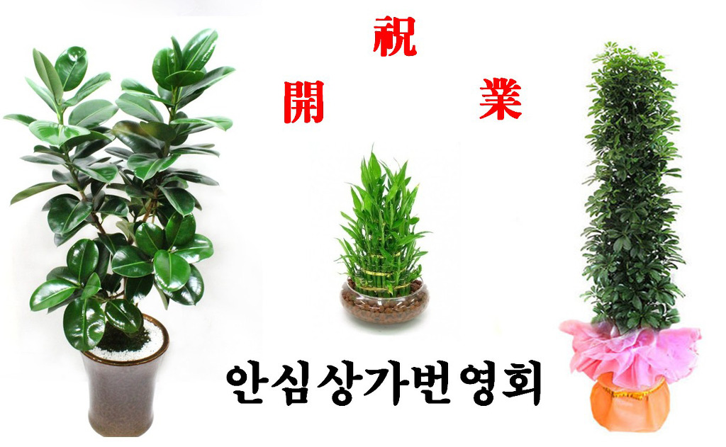 팡팡노래방 이미지
