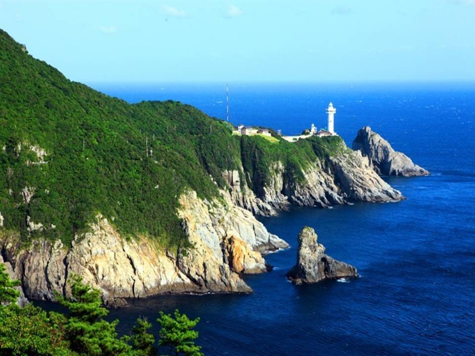 새한기획 이미지