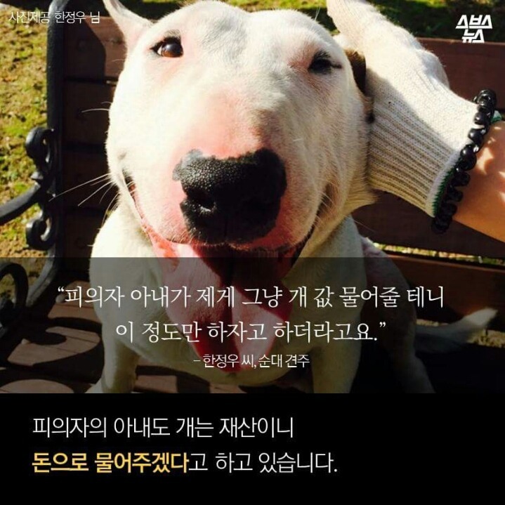 제 강아지가 잡아먹혔습니다 | 인스티즈