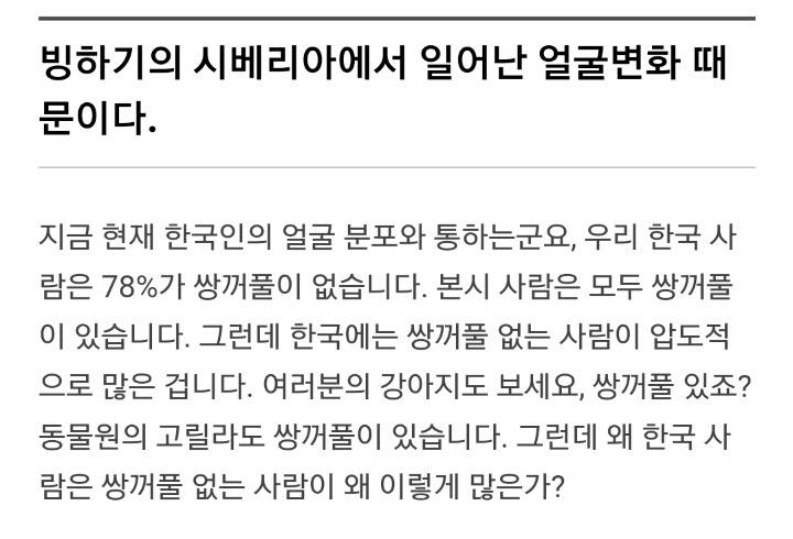 한국인의 얼굴 특징 | 인스티즈
