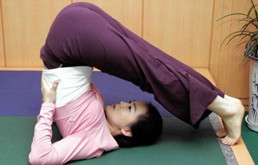 쟁기 이미지