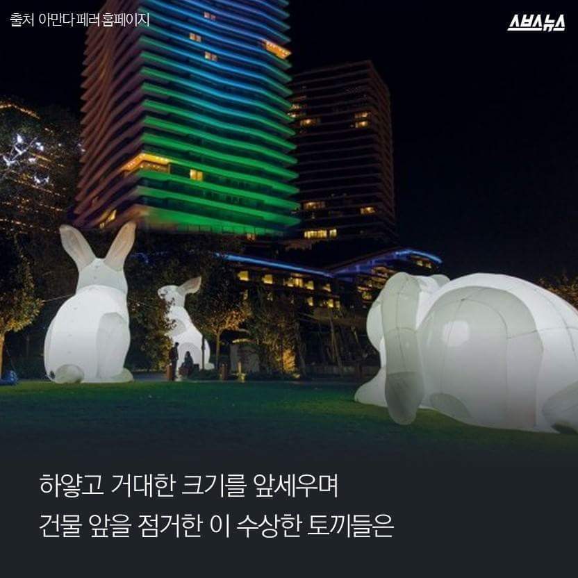 한국을 습격한 거대 토끼 | 인스티즈