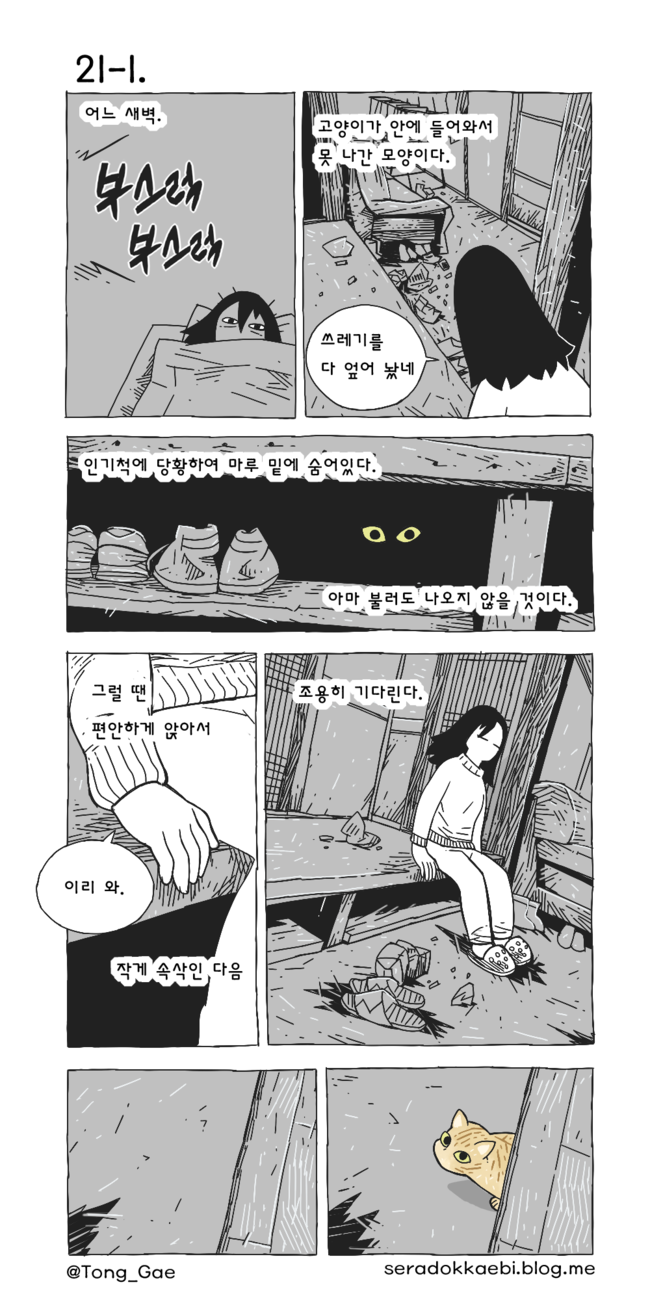 고양이 여덟마리와 살았다 17~21 | 인스티즈