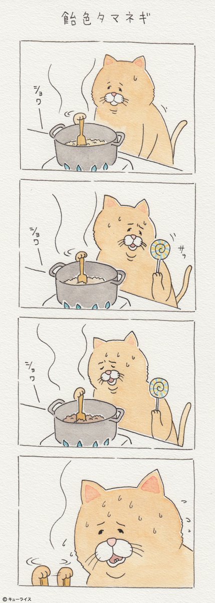 유감스러운 고양이 | 인스티즈