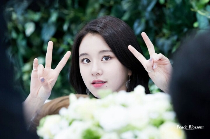 반도장 이미지