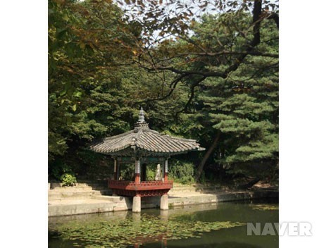 월인천강 이미지