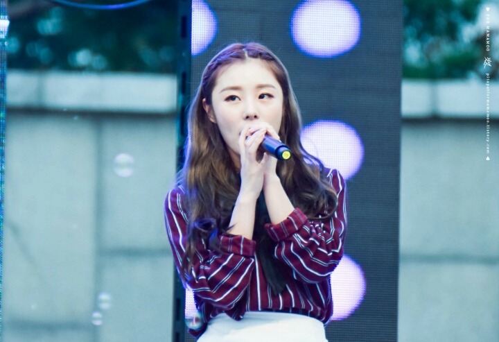 강아지 같은 마마무 휘인 | 인스티즈