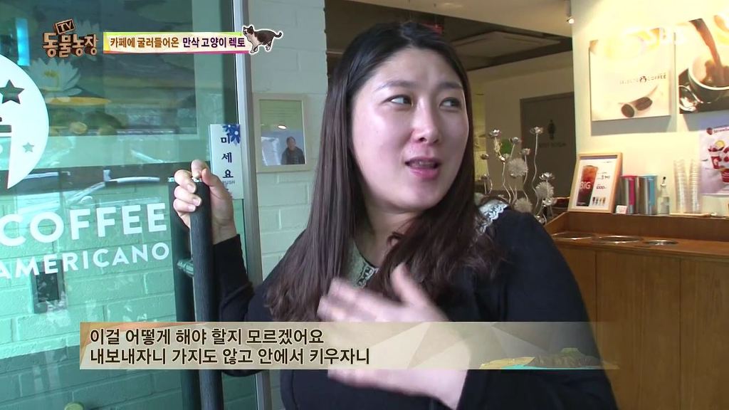 동물농장 [카페에굴러들어온고양이렉토] | 인스티즈