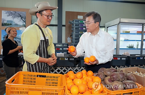 [문재인대통령] 대통령님과 함께 제주감귤 구분해보기.jpg | 인스티즈