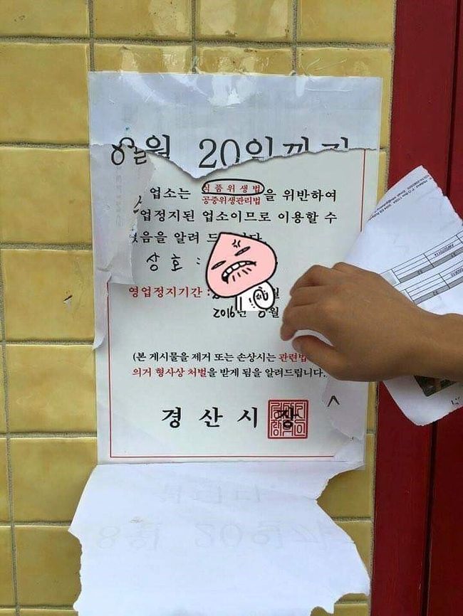긁지 않은 복권 | 인스티즈