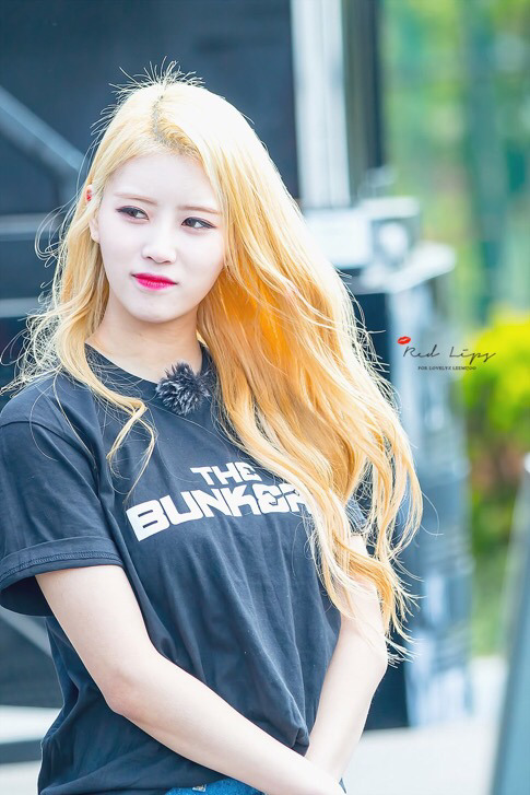 [러블리즈] 간만에 낮술해서 미주 | 인스티즈