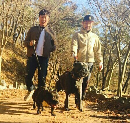 산책 이미지