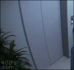 일본예능의 흔한 몰카 gif | 인스티즈