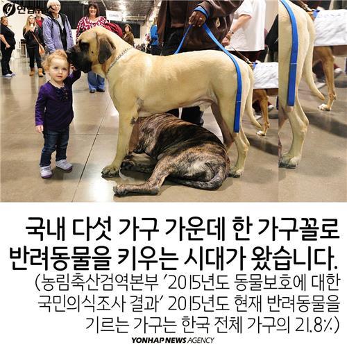 카드뉴스 늘어나는 반려동물…법 미리 알아두자 | 인스티즈