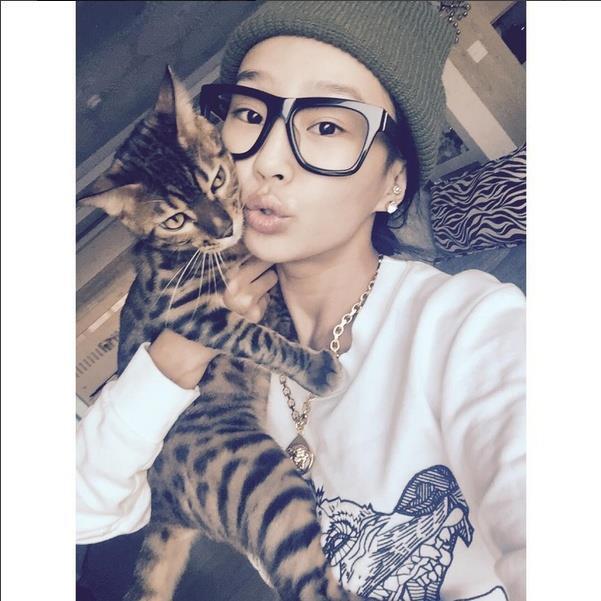 연예인들이 키우는 반려동물(반려묘) | 인스티즈