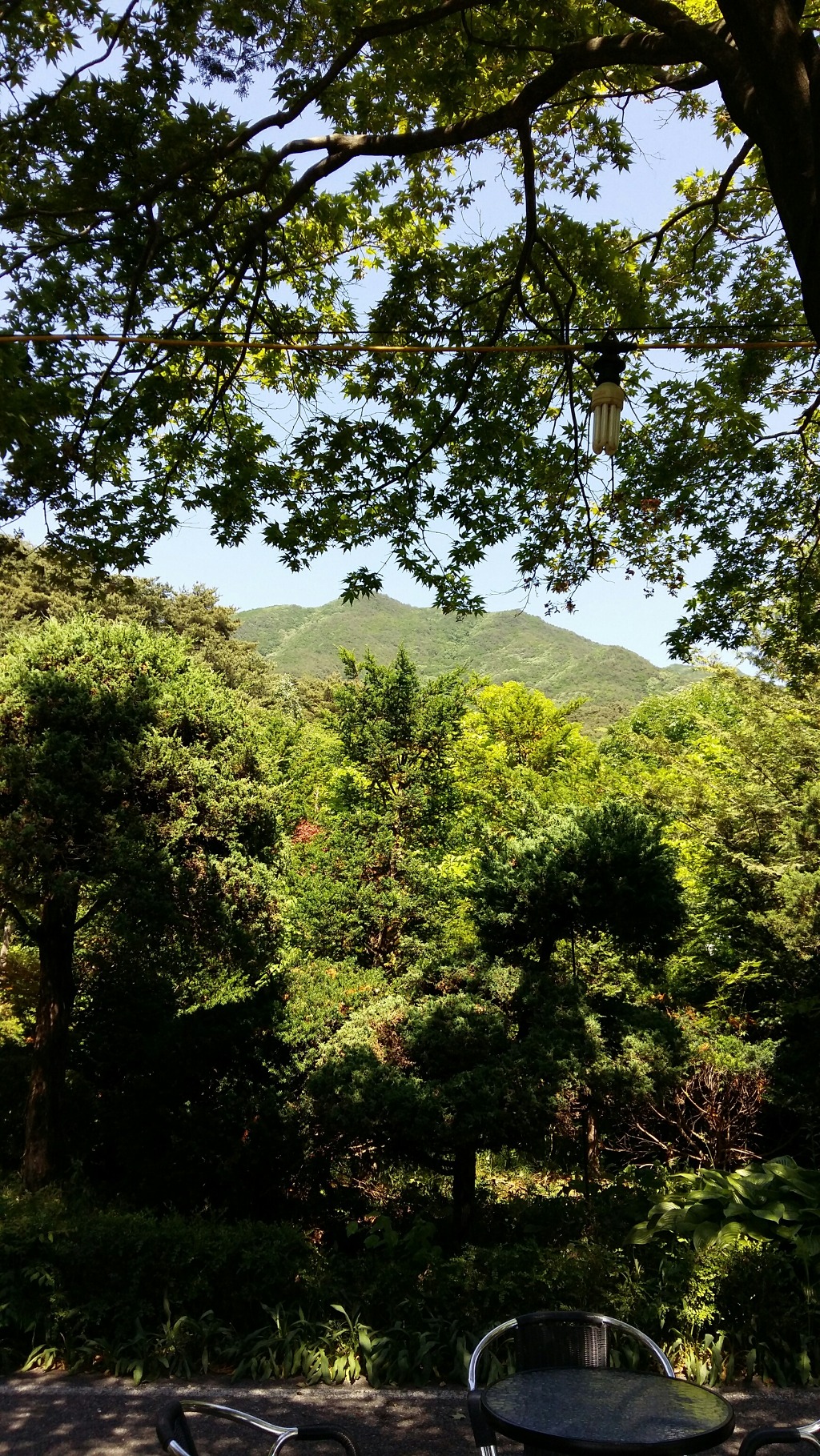 치악산 전경 이미지