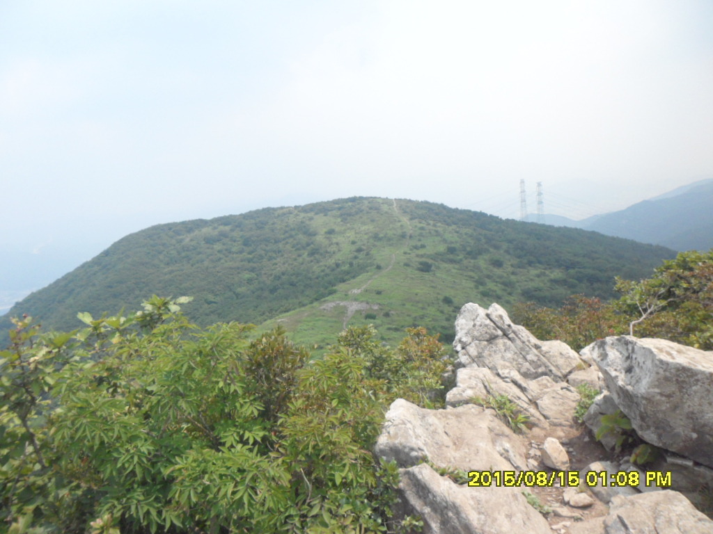 삼거리다방 이미지