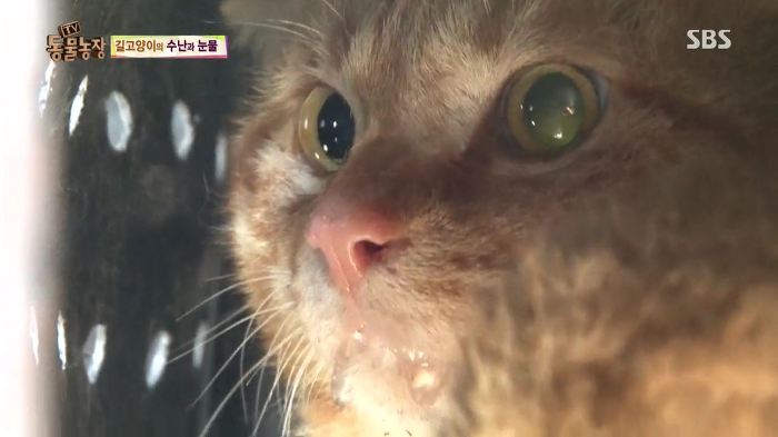 눈앞에서 제 아이가 맞아죽었습니다. 도와주세요 | 인스티즈
