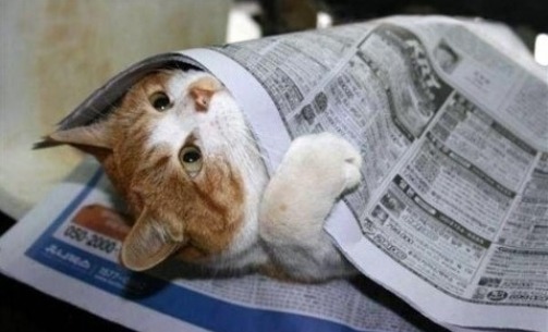 이렇게 더운날 쉬는날에 놀러가지말고 집에서 보내는게 최고인듯 | 인스티즈