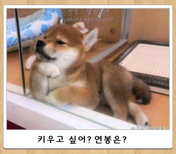 제목학원 시리즈 | 인스티즈