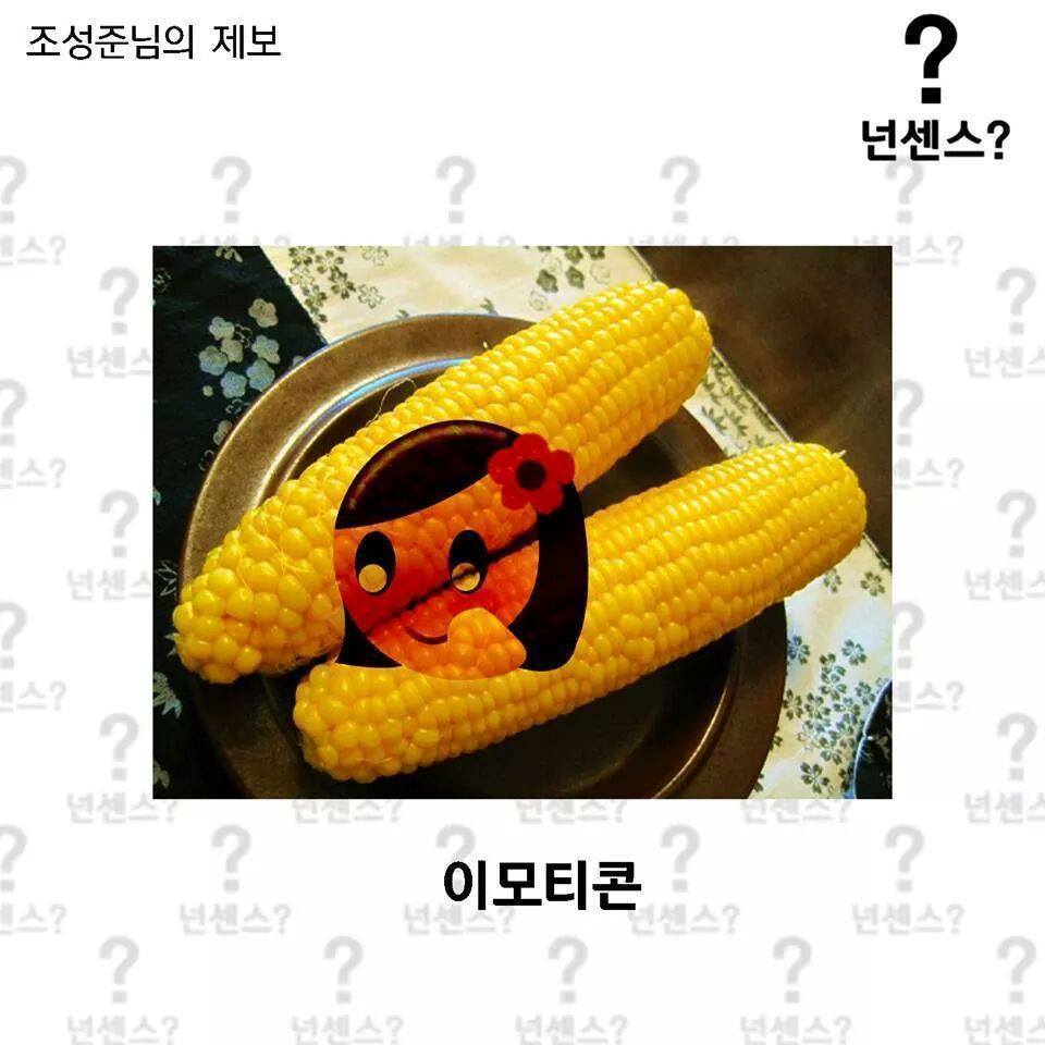 이중에 하나라도 안웃기면 한국 떠납니다 ㅋㅋㅋㅋㅋㅋㅋㅋㅋㅋㅋㅋㅋ | 인스티즈