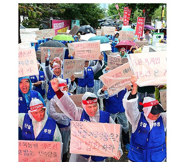 개고기 합법화 하라 | 인스티즈