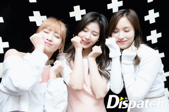 디스패치트와이스 | 인스티즈