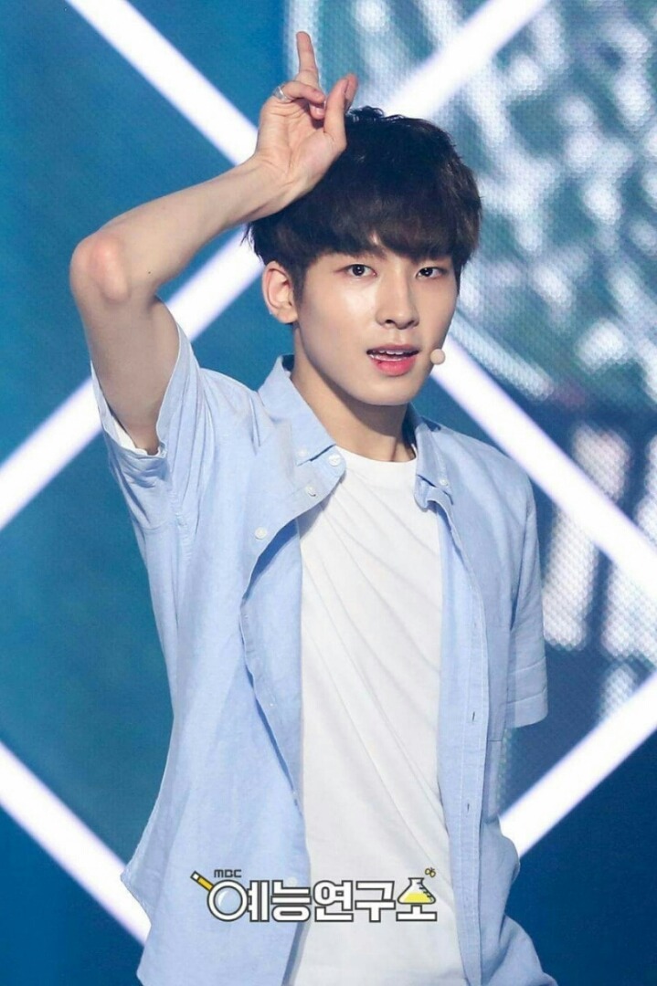 복덩어리 이미지