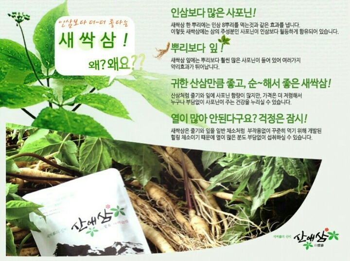 아삼 이미지