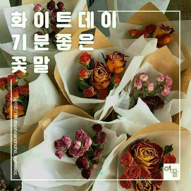 기분좋은데이 이미지