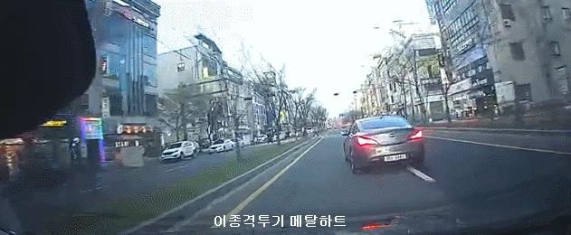 [블박] 운전을 개한테 배움 | 인스티즈