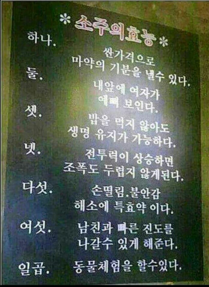 소주의 효능 | 인스티즈
